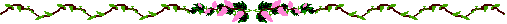 barflowerspink.gif (2369 bytes)